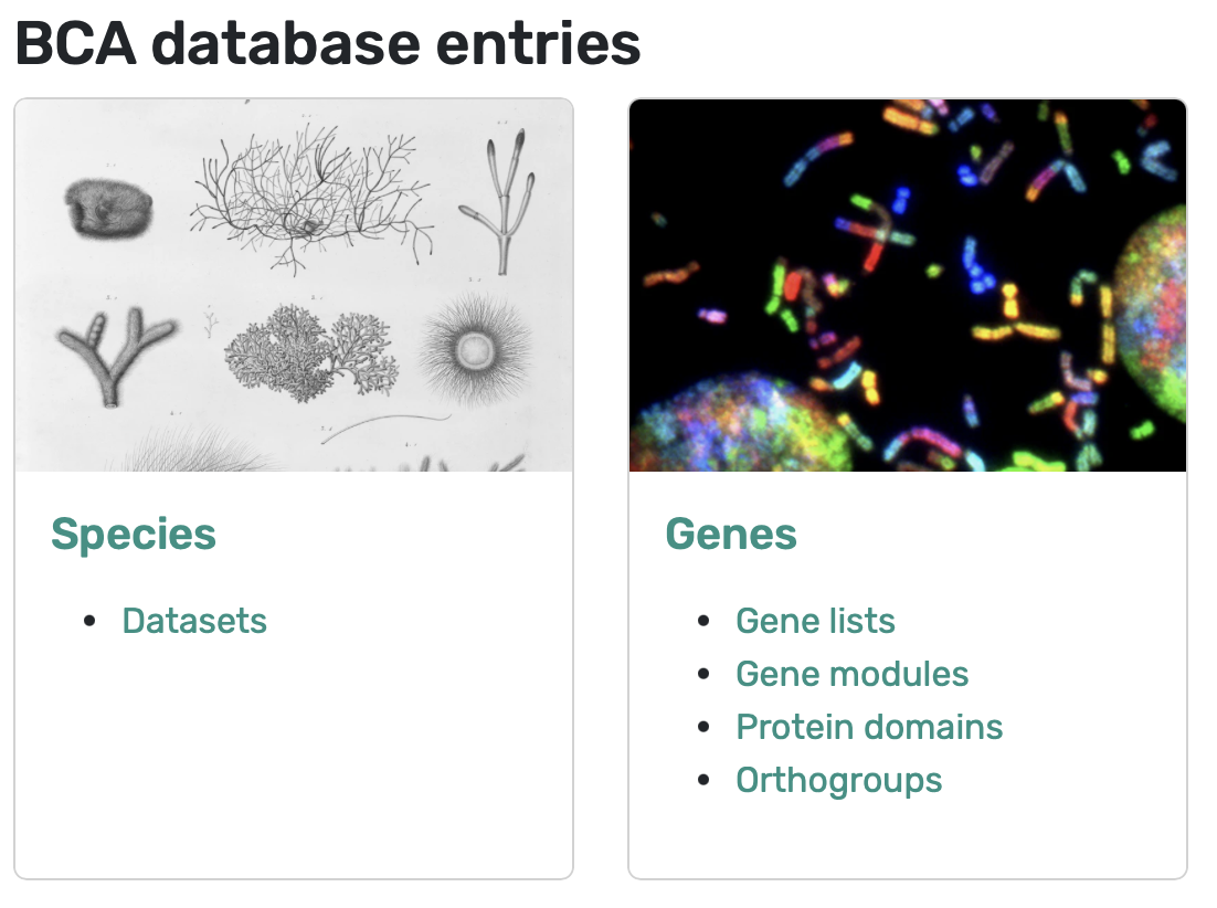 Database entry screenshot