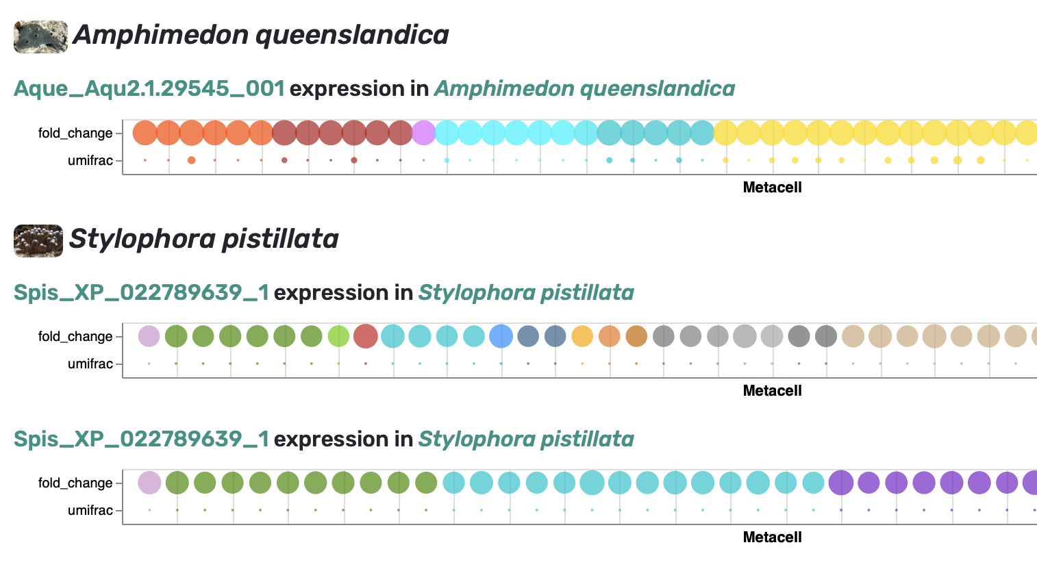 Gene and ortholog expression screenshot